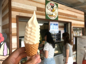 沖縄の牧場で育った牛のソフトクリームが食べたいならココ！「おっぱじぇらーと工房」